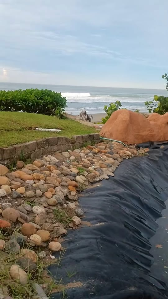 M1811008 #paraty desde Acapulco part2