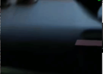 B1711024_Family Stops Traffic to Rescue an Injured Bear #rescue #ani…_part2