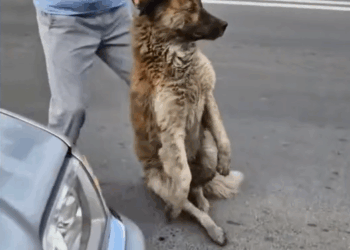 B1711009_ It pained me to look at him He had given up on humanity until someone knelt down to help_part2