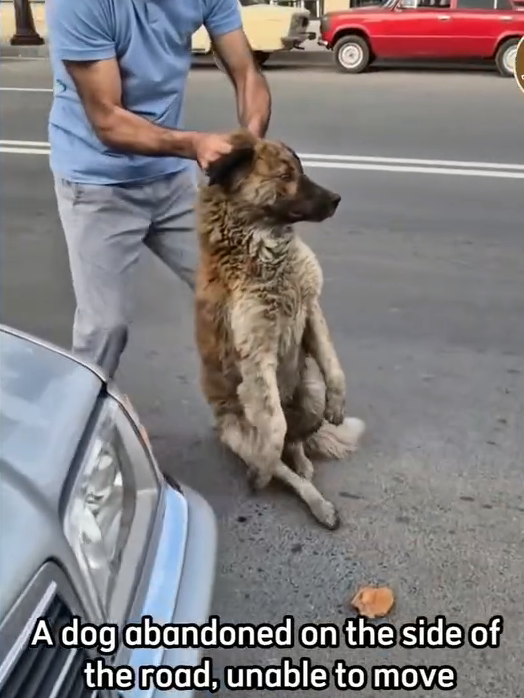 B1711009_ It pained me to look at him He had given up on humanity until someone knelt down to help_part2