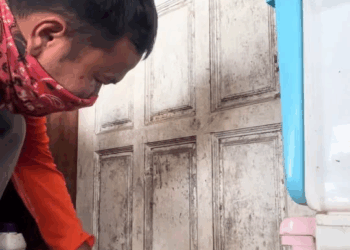 M1811014, cat, Brings tears to my eyes Injured and exhausted part 2