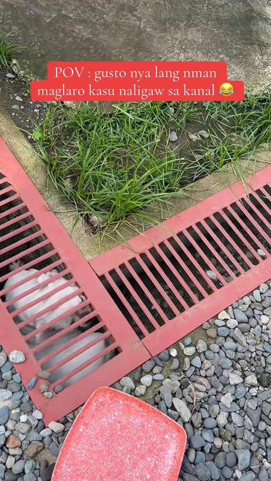 M1811016 Laughtrip ka tlaga lexi  part2