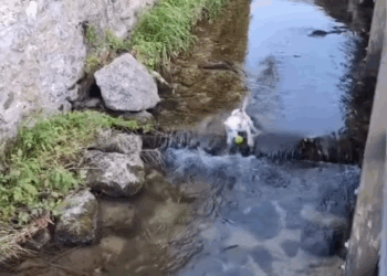 M0211001 “Mission Impossible”\