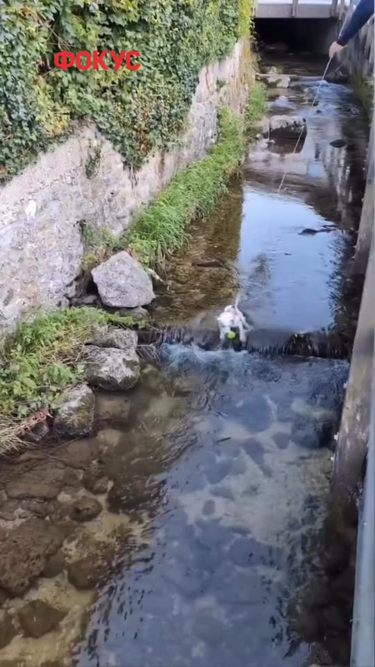 M0211001 “Mission Impossible”\