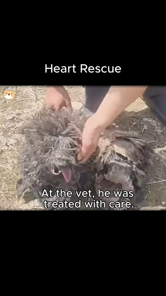 M1811023 Heart Rescue