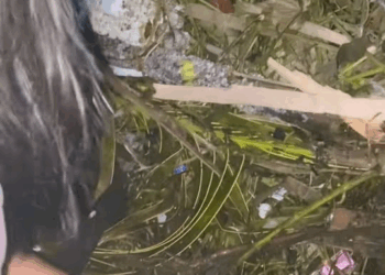 M1811028 PT saving poor puppy got stuck by sand trash due to Typhoon part2