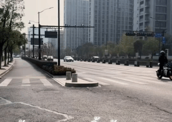 M1811030 A dog was found on the side of the road looking for its owner’s car. #dog #cat #lookingfordog #lostdog #dog