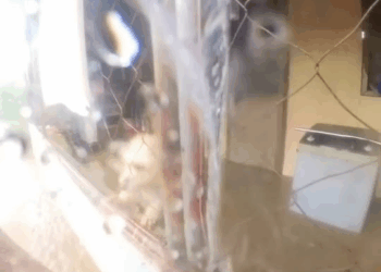 M1811033 Kaluoy sa itoy na trap sulod sa balay unya lahum nakay ang tubig dili lang ta puro kabuang tabang pud ta panagsa #Safe MyKill Salas Felisco part2