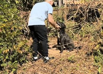 M1811035 chain isn love