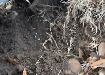 M0211003 We had a big scare today when our lucy got stuck in a drain pipe! Thankfully daddy was home from work and came to the rescue! She really had us wo part2