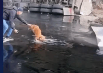 M1811015_Una historia que demuestra que la humanidad aún responde_part2