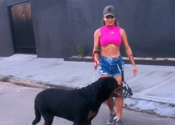 M1811041 #rotterdam #rottweilersoftiktok #rotinadecasa #adestramento #rotinape