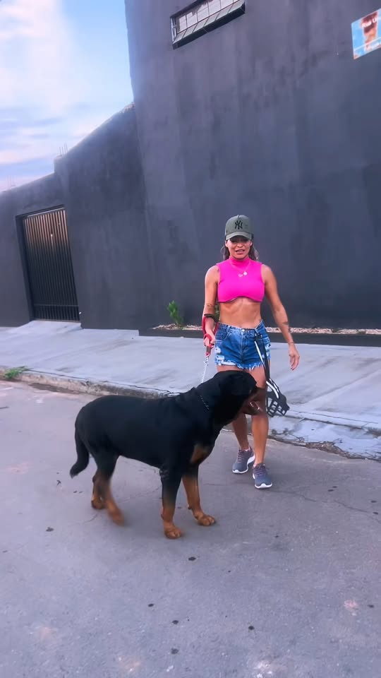 M1811041 #rotterdam #rottweilersoftiktok #rotinadecasa #adestramento #rotinape