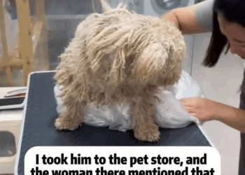 M1811042 Every time he takes initiative to flatter, he just wants to get a