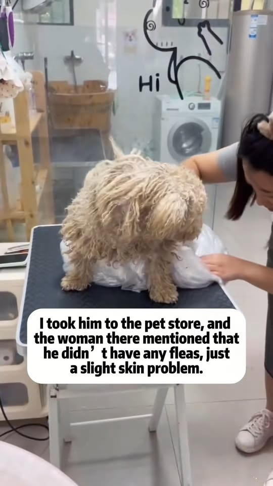 M1811042 Every time he takes initiative to flatter, he just wants to get a