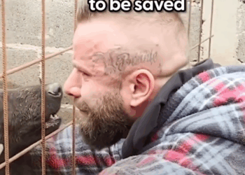 B1711010_Moment Their Eyes Met Pain Turned Into Tears of Hope_part2