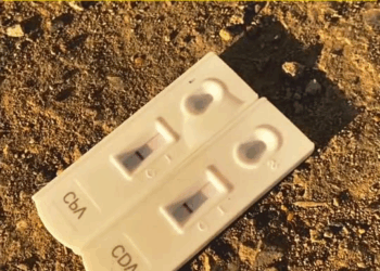 M2211007 tiny puppy abandoned in trash bin #dog #lovestory #rescueanimals part2