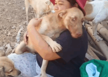 M2211016 HANA rescues part2