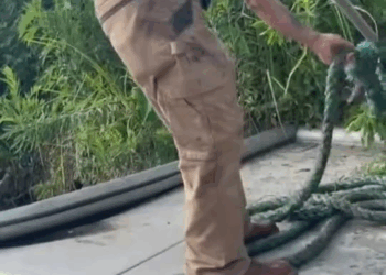 M0211010 Emotional Rescue of a Wild Coyote Stranded on a Barge 🐺💦 #rescue #save #coyote #animals #fyp part2