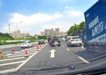 M0211014 A man finds a kitten running dangerously in front of a car and makes a decision that changes its life