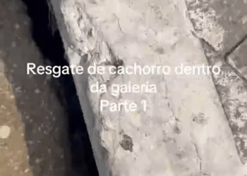 M0211016 No Title part2