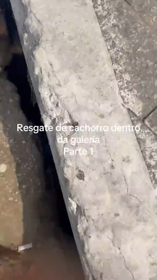 M0211016 No Title part2