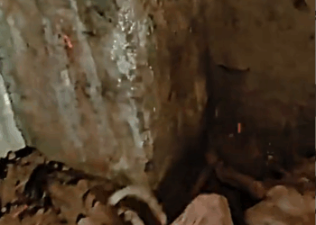 M0211025 Part 1 With her last ounce of strength, she wagged her tail