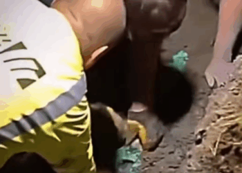 M0411010_A veces los verdaderos héroes no usan capa, usan guantes y un corazón enorme. Este equipo de rescatistas no se rindió h_part2