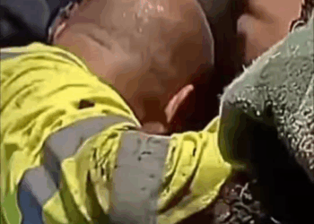 M0411010 A veces los verdaderos héroes no usan capa, usan guantes y un corazón enorme