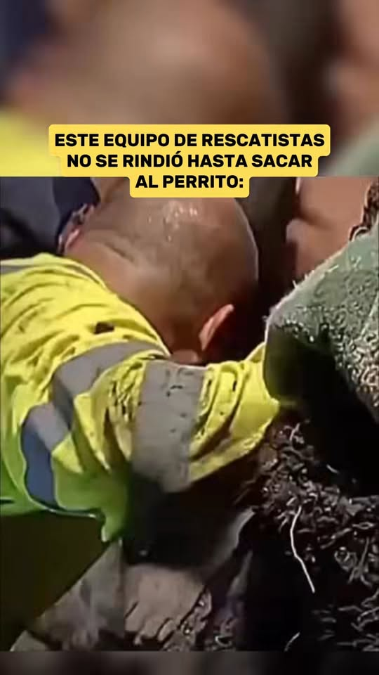 M0411010 A veces los verdaderos héroes no usan capa, usan guantes y un corazón enorme