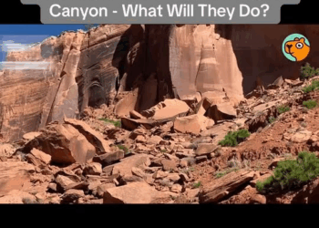 M0411016 Couple Find Two Stranded Dogs In Canyon What Will They Do