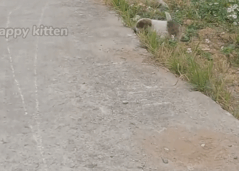 M0411004_please help me He Cried for Days as People Passed Him By Until This Happened_part2