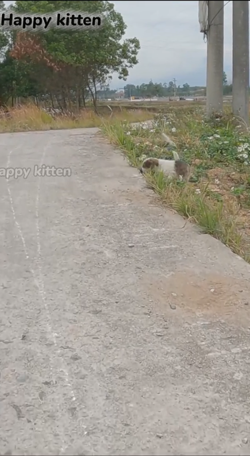 M0411004_please help me He Cried for Days as People Passed Him By Until This Happened_part2