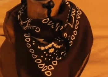 M0411018 CACHORRINHA QUE ESTAVA DESISTINDO DE SUA VIDA DEU UMA REVIRAVOLTA EM SUA VIDA #cachorro #animal #dog #animals #animaisnotiktok part2\