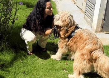 M0411027 Angelito 🫶🏻😍🙀🐶Un verdadero milagro ! Hoy es un perro muy Feliz con su nueva familia ! @angelitomcbo Fundacion Gat part2