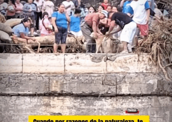 M0411032 TheDax on Reels part2