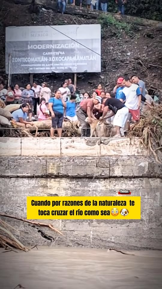 M0411032 TheDax on Reels part2