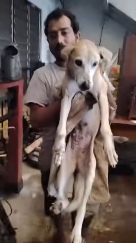 M0411034 Embark rescue part2