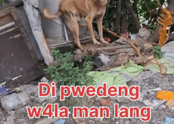 M0411026_Dahil pwede syang mahul0g at ma big tea.di kaya ng konsènsy4 ko na iwan lang sya ng gànyan😭 #follower #everyone Voic_part2