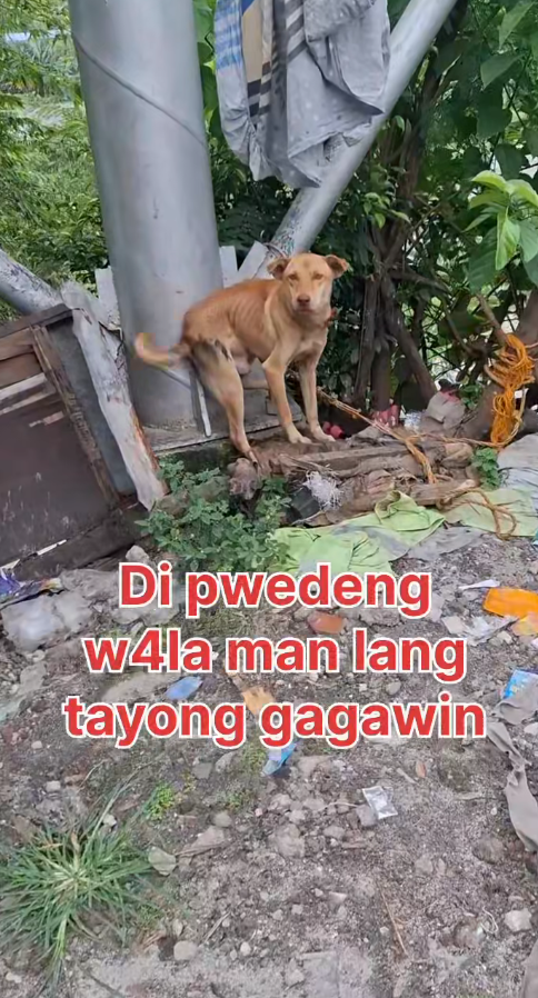 M0411026_Dahil pwede syang mahul0g at ma big tea.di kaya ng konsènsy4 ko na iwan lang sya ng gànyan😭 #follower #everyone Voic_part2