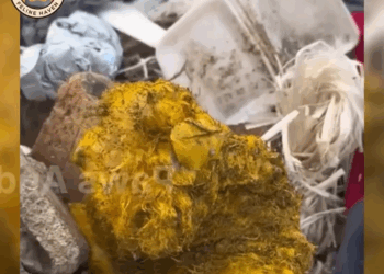 M0711003 At First Didn Know What He Was, Until Saw Puppy Gentle Eyes part2