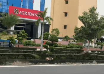 M0711012 Come close and the baby will run