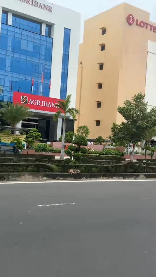 M0711012 Come close and the baby will run