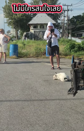 M0912009_Social media is difficult to find. #cats #catslaves #dogslaves #trends_part2