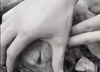 M2212014_While was helping my wife clean house, my mother ran in be_part2