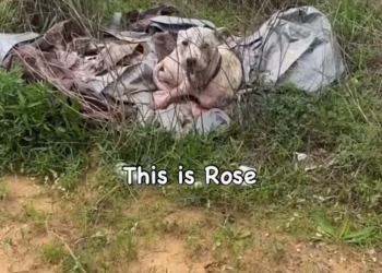 M0912022_This is a story about a girl named Rose 🌹 ThisIsHouston_part2