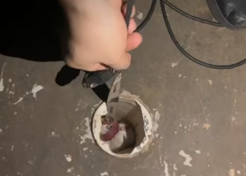 M0912024_Hola Gente, rescatamos a este gatito que estaba atrapada en una cañería, busca un hogar, ya esta desparasitada y, bañ_part2