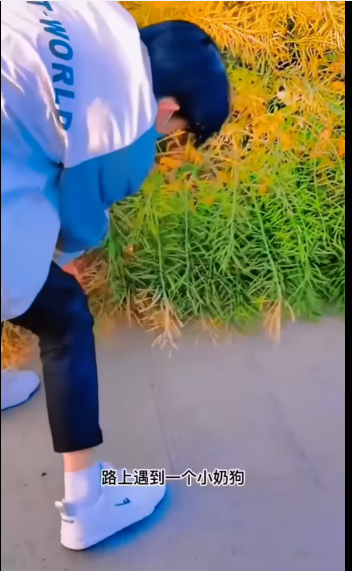 M1412004_Stray Dogs No Longer Stray_part2\