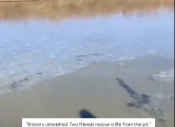 M1612005_Restoring Your Faith in Humanity These two dogs, who had fallen into deep pit, were rescued by two s…_part2