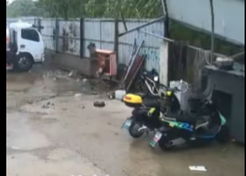 M1612006_dog panicked when storm blew up Thank you being safe #c…_part2